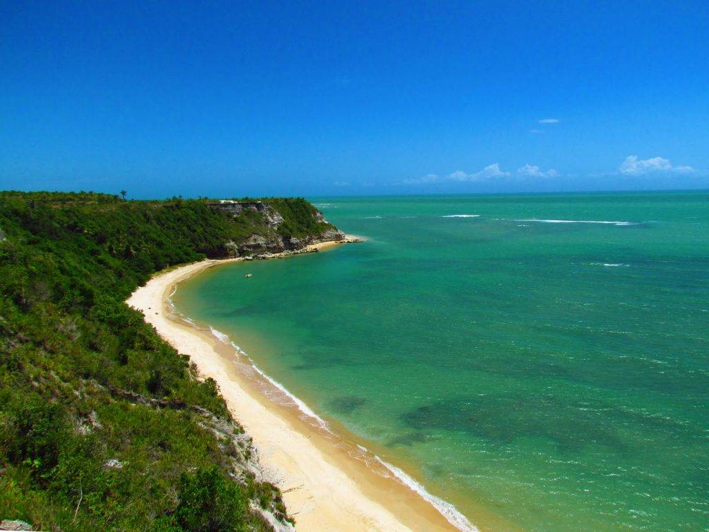 Quais pragas surgem com clima tropical